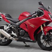 Czy nowa marka Europejska zagrozi naszym importerom?