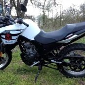 Spagetti po bolońsku na bogato – czyli Malaguti Dune 125